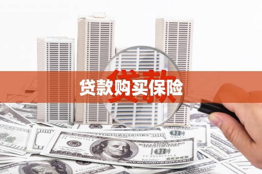 麻山贷款购买保险