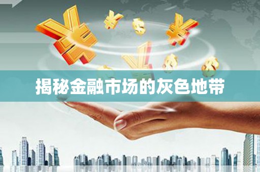 麻山揭秘金融市场的灰色地带