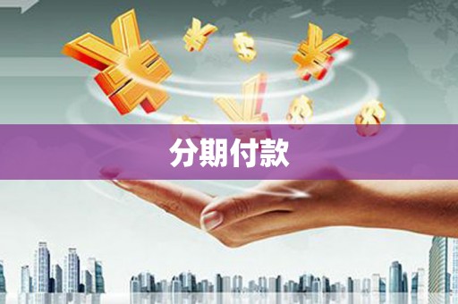 麻山分期付款