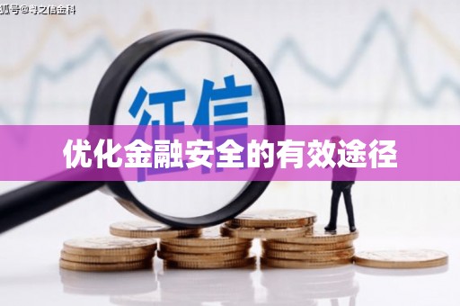 麻山优化金融安全的有效途径