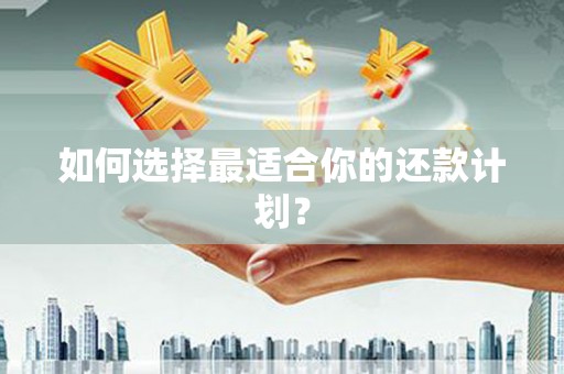 麻山如何选择最适合你的还款计划？