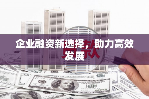 麻山企业融资新选择，助力高效发展