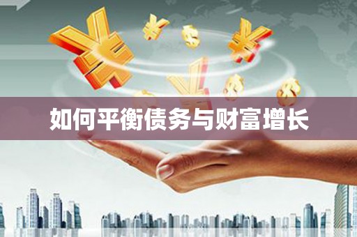 麻山如何平衡债务与财富增长