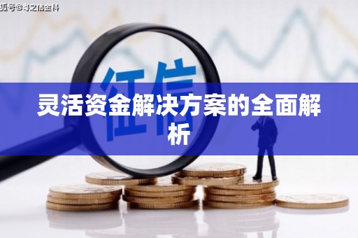 麻山灵活资金解决方案的全面解析