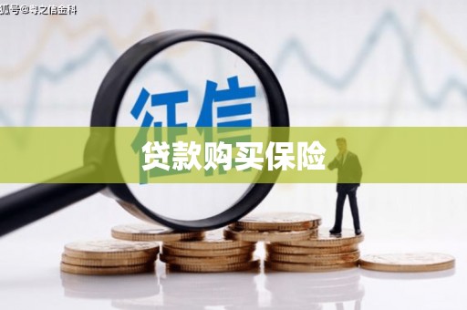 麻山贷款购买保险