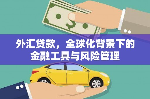 麻山外汇贷款，全球化背景下的金融工具与风险管理