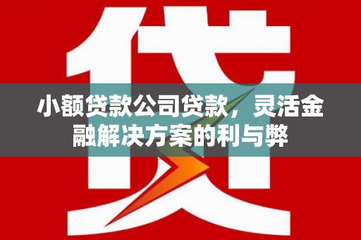 麻山小额贷款公司贷款，灵活金融解决方案的利与弊