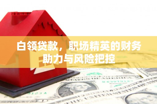 麻山白领贷款，职场精英的财务助力与风险把控