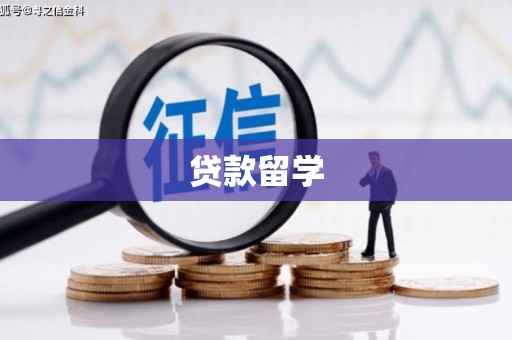 麻山贷款留学