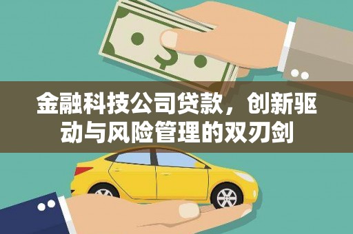 麻山金融科技公司贷款，创新驱动与风险管理的双刃剑